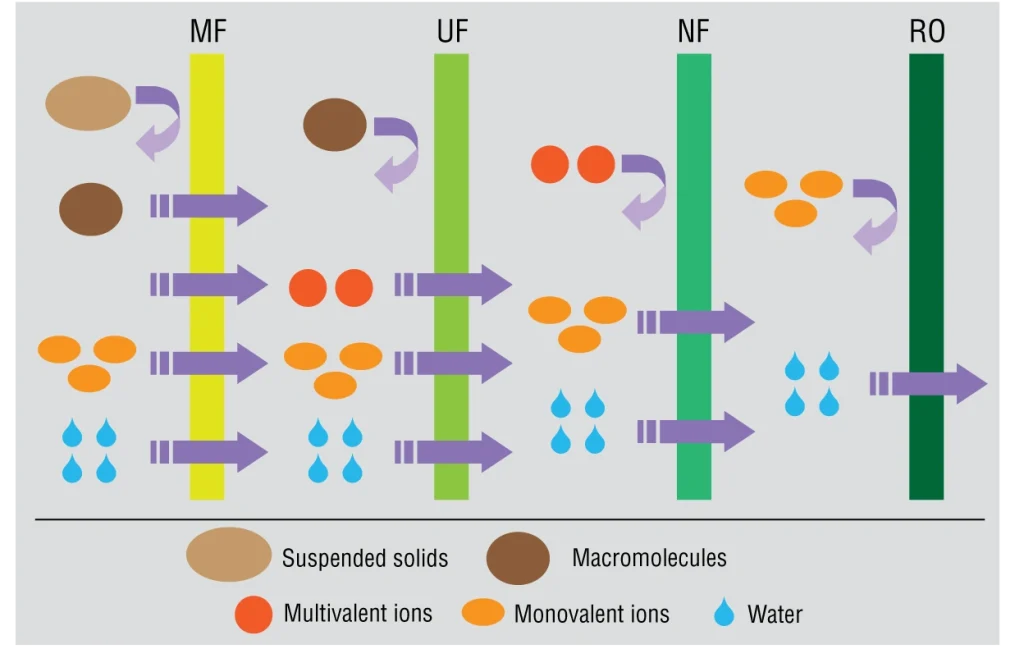 انواع غشاها